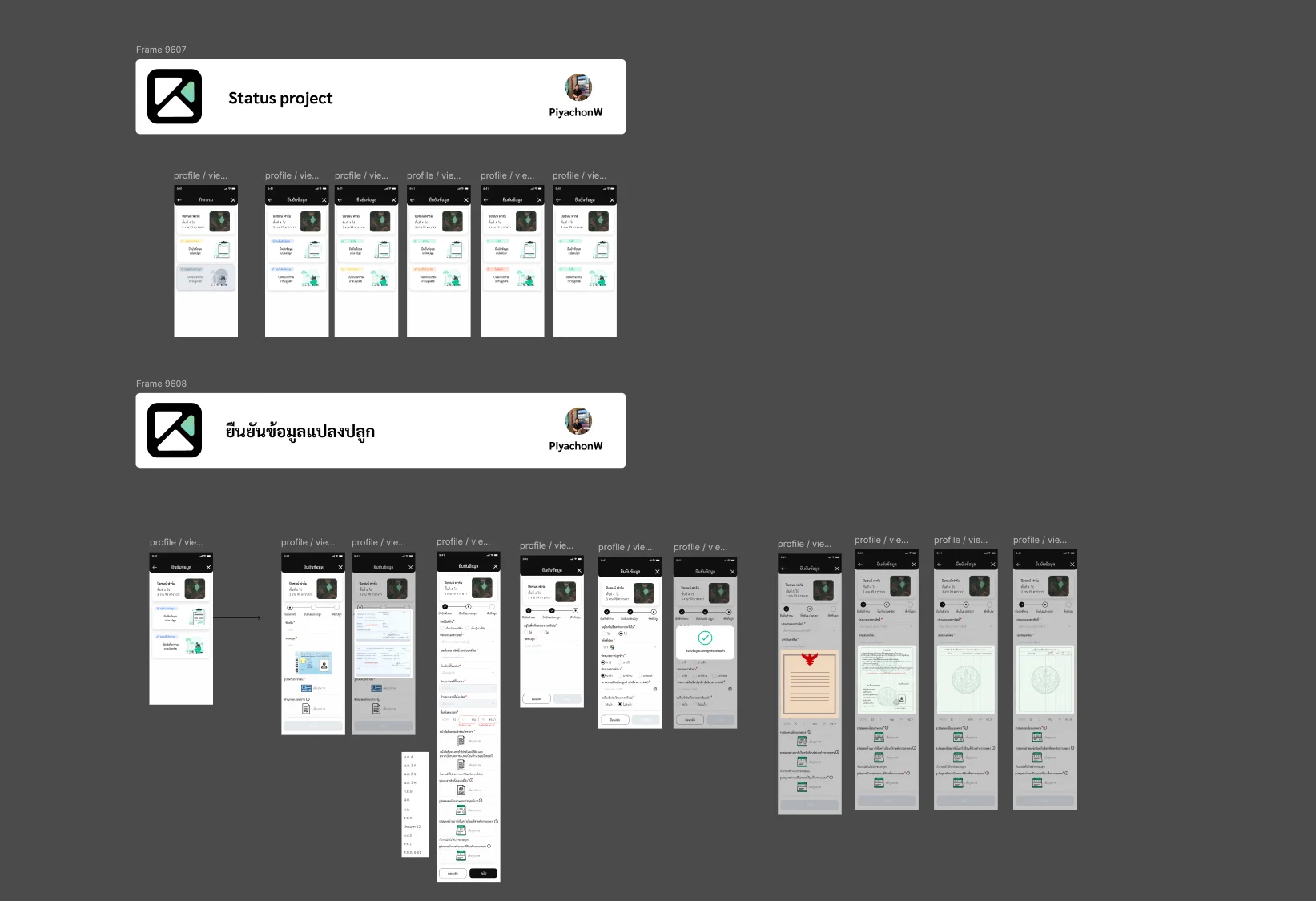 Projects and Plot Verification — visual 2