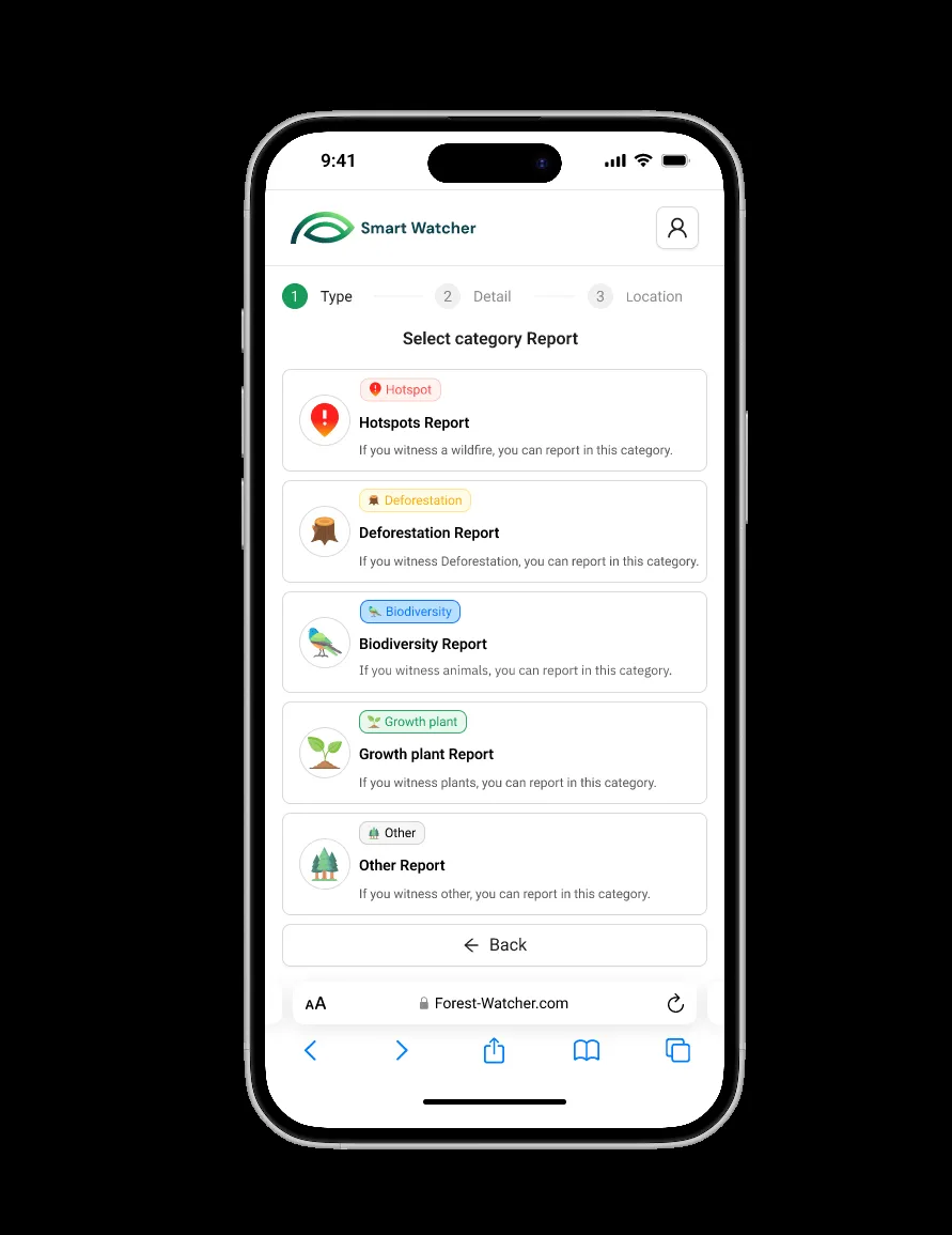 Screen Flow & Report Entry — visual 2